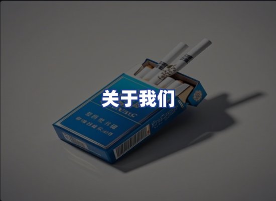 专业团队